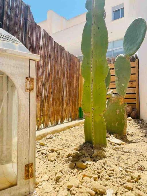 Ferienwohnung El Sotanillo Níjar Exterior foto
